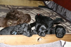 4036-66-1_23052013211913