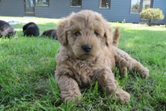 4062-66-1_07062013143356