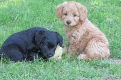 4064-66-1_07062013143356