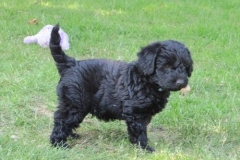 4071-66-1_07062013143357