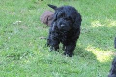 4072-66-1_07062013143357