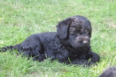 4073-66-1_07062013143357