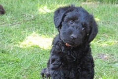 4074-66-1_07062013143357