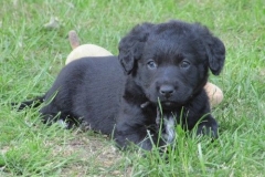 4076-66-1_07062013143357