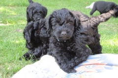 4077-66-1_07062013143357