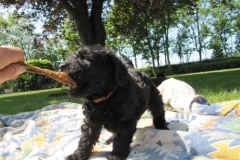 4078-66-1_07062013143357