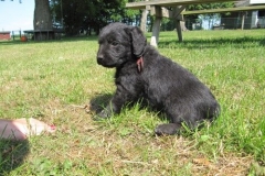 4085-66-1_07062013143358