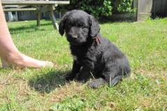 4086-66-1_07062013143358