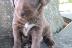 4088-66-1_07062013150221