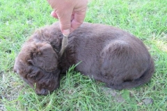 4091-66-1_07062013150221