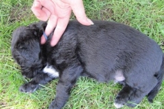 4092-66-1_07062013150221