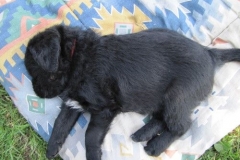 4093-66-1_07062013150221