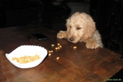 1413-31-1_17052011112136