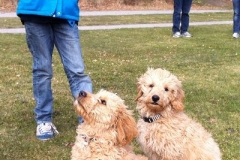 1424-31-1_17052011112140