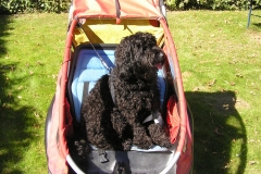 1434-31-1_17052011113151