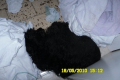 1441-31-1_17052011113154