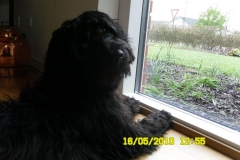 1442-31-1_17052011113154