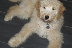 3568-31-1_19092012101715