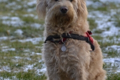 3572-31-1_19092012114556