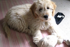 3587-31-1_19092012114623