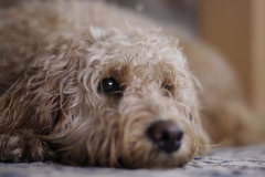 3589-31-1_19092012114624