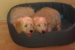 3593-31-1_19092012114631