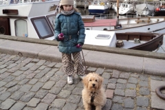 3597-31-1_19092012114632