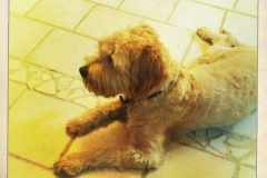 3598-31-1_19092012114632