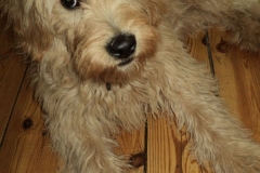 3599-31-1_19092012114632