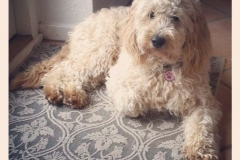 3601-31-1_19092012114636