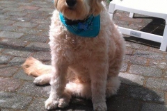 3604-31-1_19092012114636