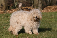 3605-31-1_19092012114636