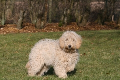 3606-31-1_19092012114639