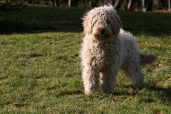 3607-31-1_19092012114642