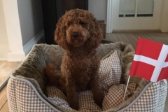 Ellie 1 fra cherry og Soul, Doodledoodle