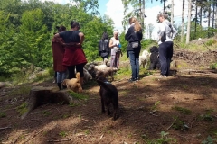 Doodler i Hareskoven