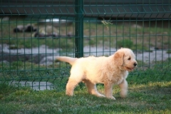 4468-82-1_25072014205501