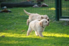 4469-82-1_25072014205501