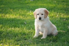 4473-82-1_25072014205533