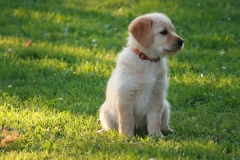 4474-82-1_25072014205533