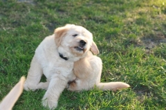 4477-82-1_25072014205604