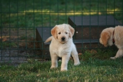 4478-82-1_25072014205604