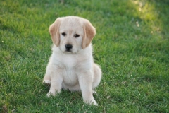 4479-82-1_25072014205604