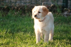 4480-82-1_25072014205604