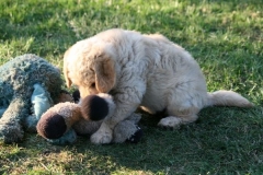 4486-82-1_25072014205711