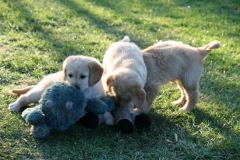 4487-82-1_25072014205711