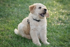 4488-82-1_25072014205711