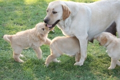 4491-82-1_25072014205745