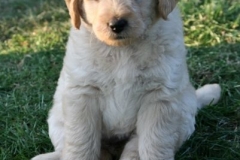 4494-82-1_25072014205745