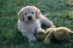 4496-82-1_25072014205836